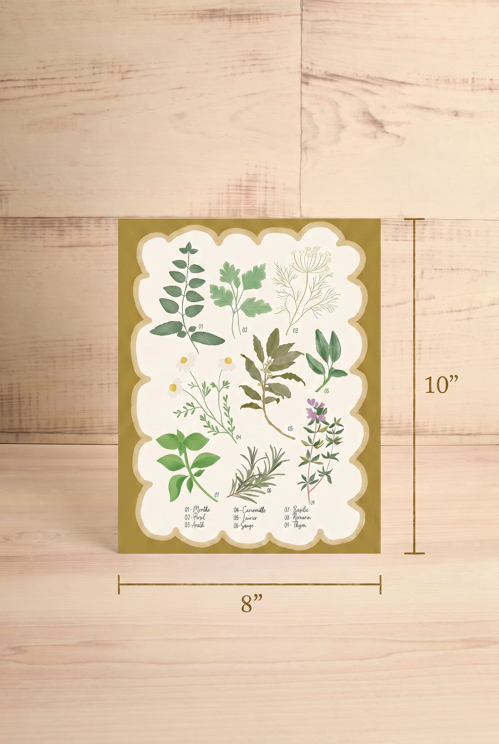 Herbarium Art Print from Lili Graffiti at la maison garçonne with the measurement 8 x 10 inches