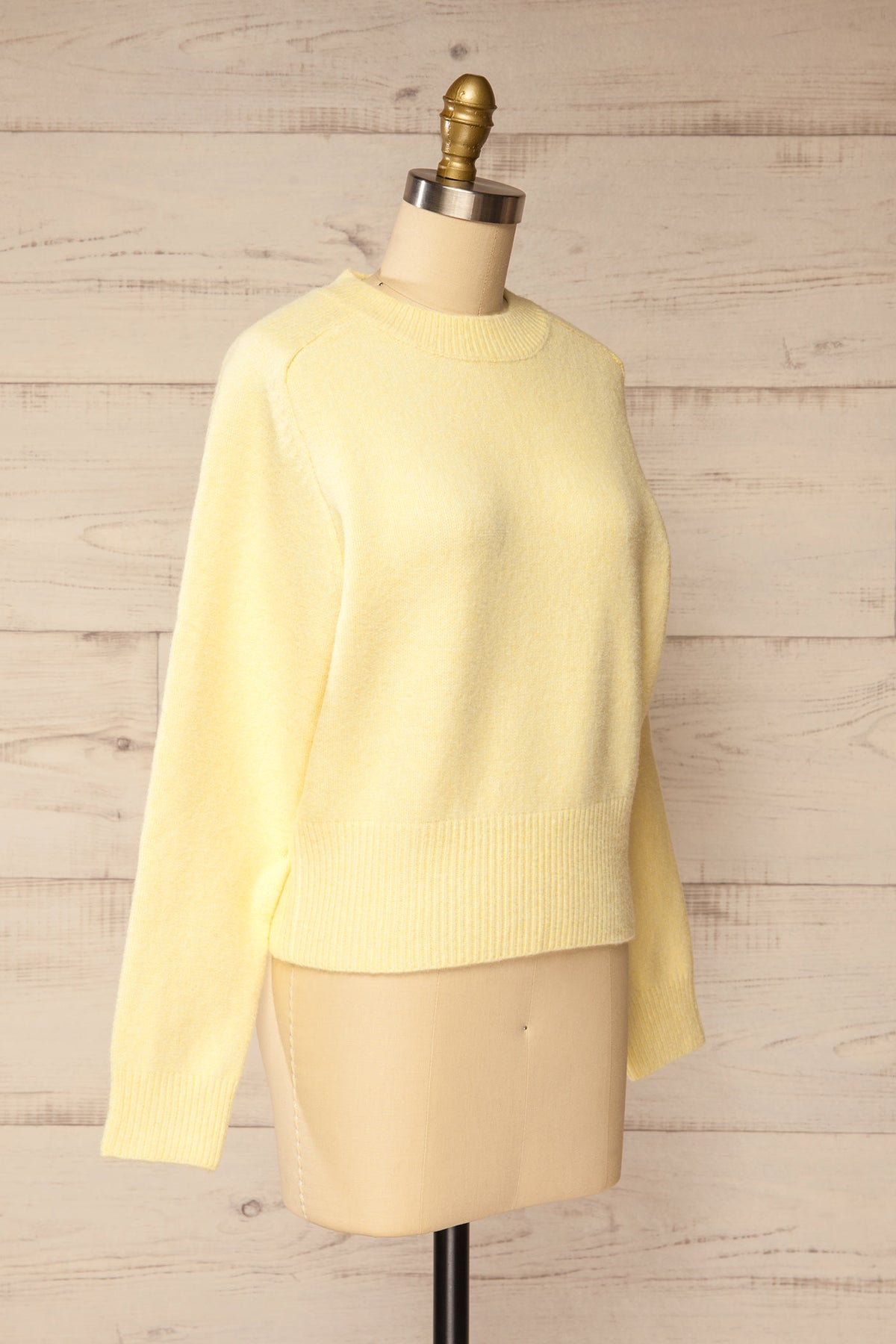 side view of Hildrade Yellow Cropped Knit Sweater at La petite garçonne