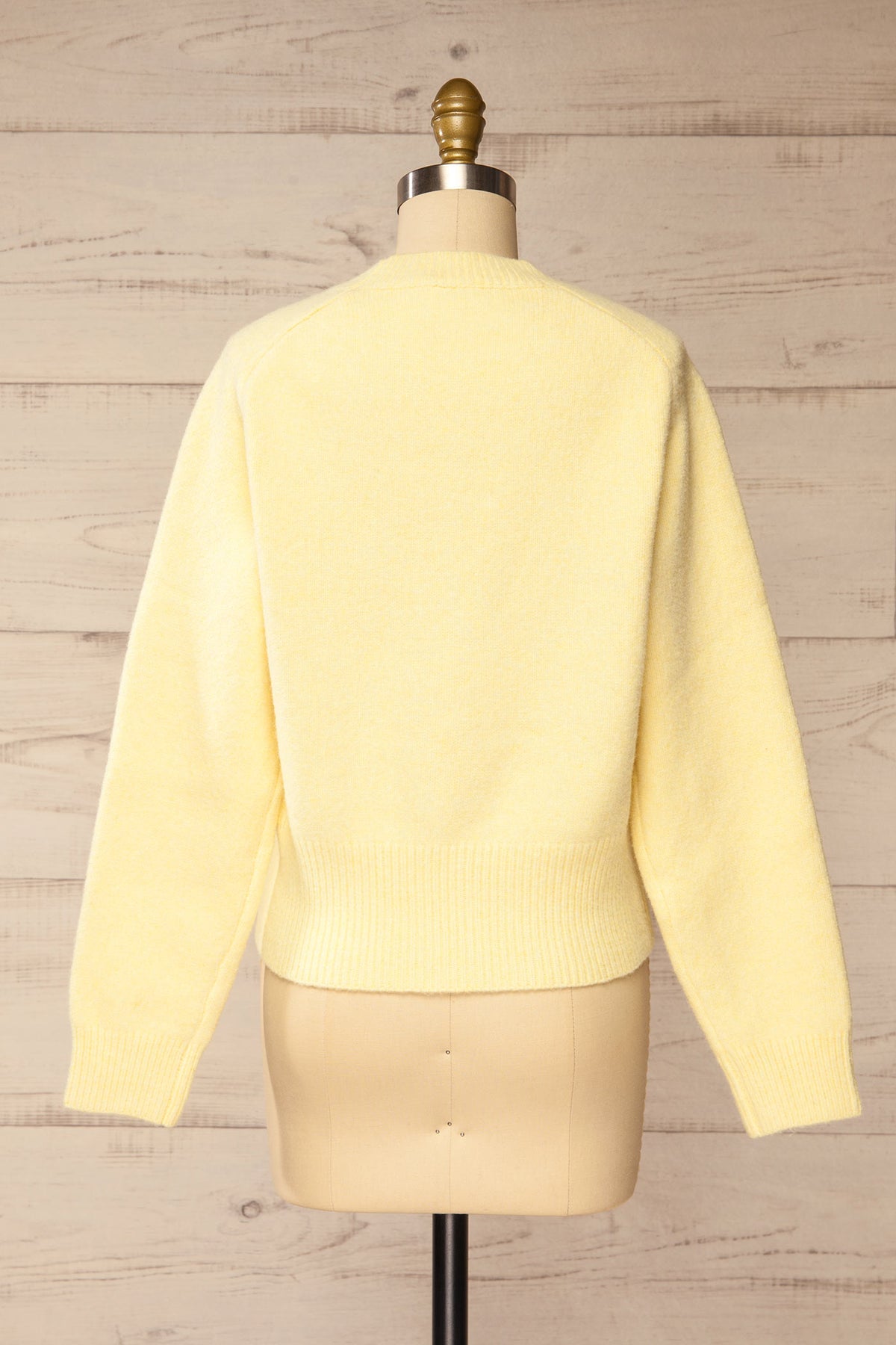 back view of Hildrade Yellow Cropped Knit Sweater at La petite garçonne