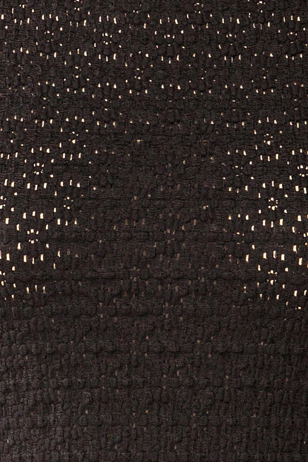 Ikeda Long-Sleeved Sheer Black Top | La petite garçonne fabric