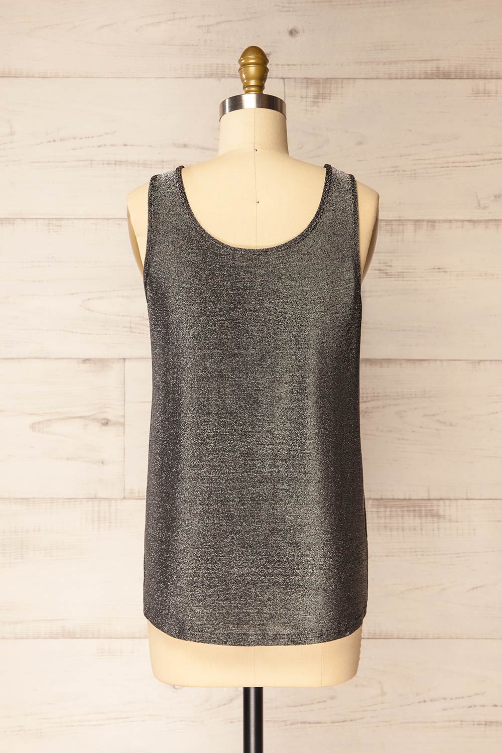 Izegem Shimmery Silver Top | La petite garçonne back view