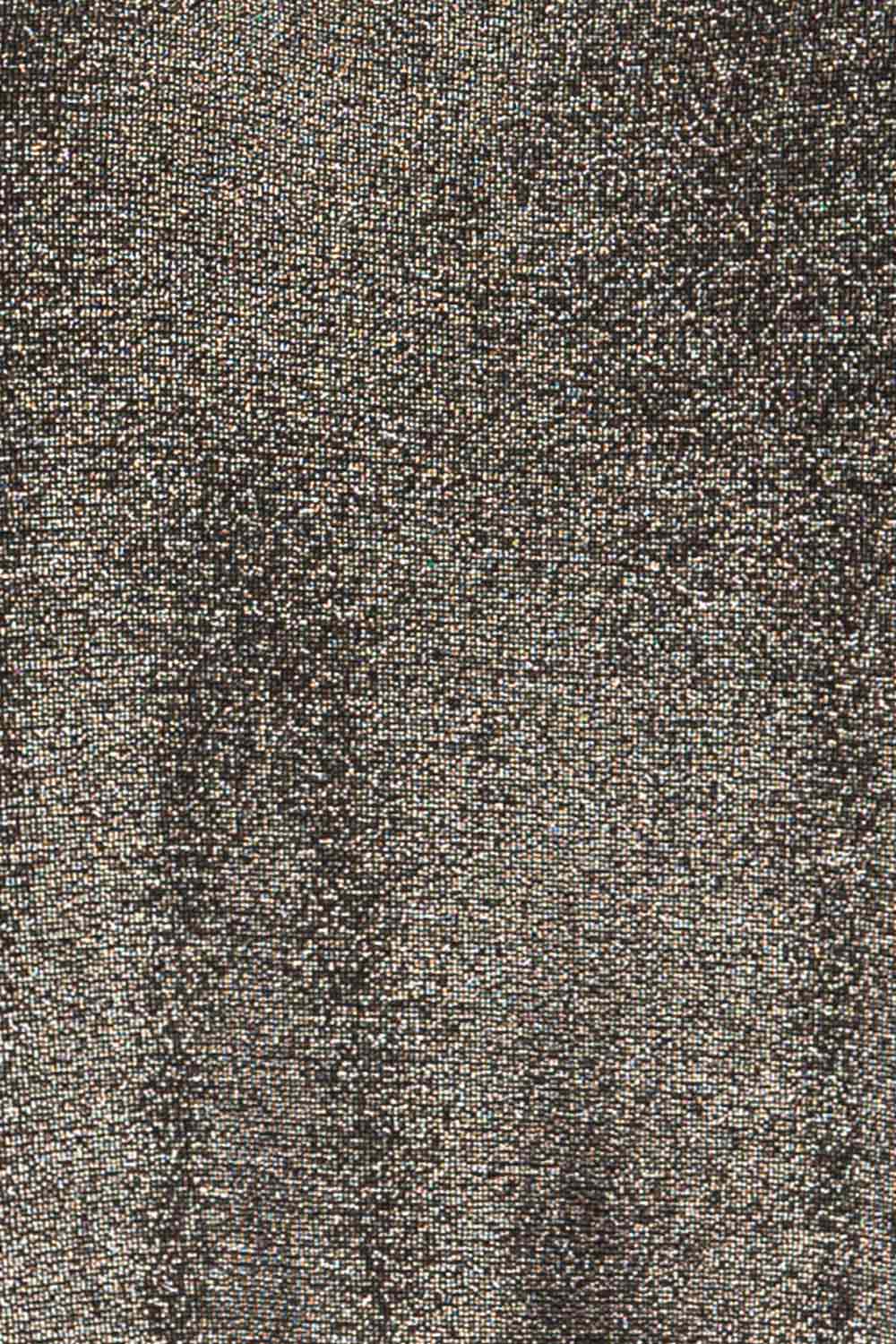 Izegem Shimmery Silver Top | La petite garçonne fabric