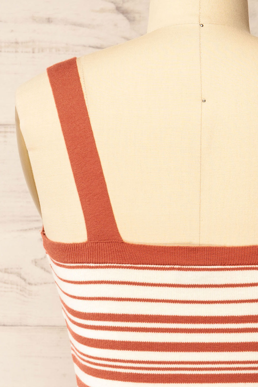 Kolari Rust Striped Tank Top | La petite garçonne back view