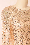 Lyrissa Rosegold | Short Mesh Sequin Dress