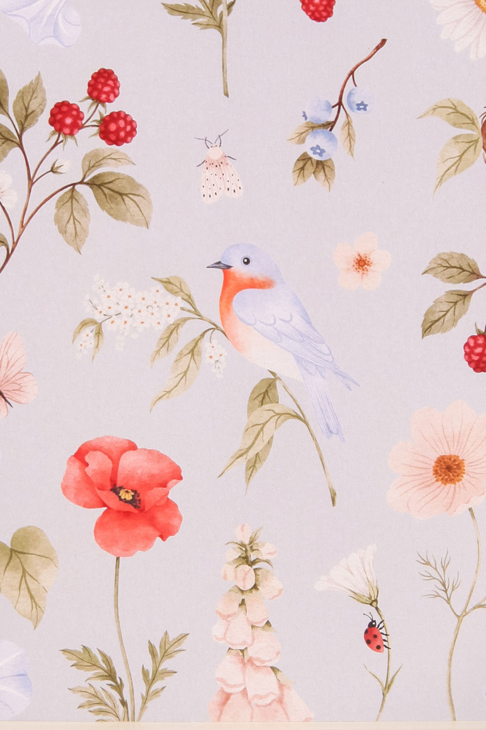 MERLE BLEU | CARTE close-up