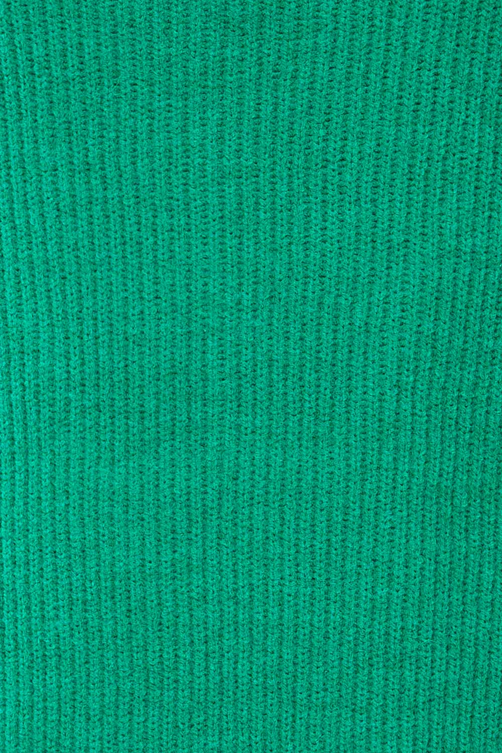 Molina Green Quarter-Zip Rib Knit Sweater | La petite garçonne fabric
