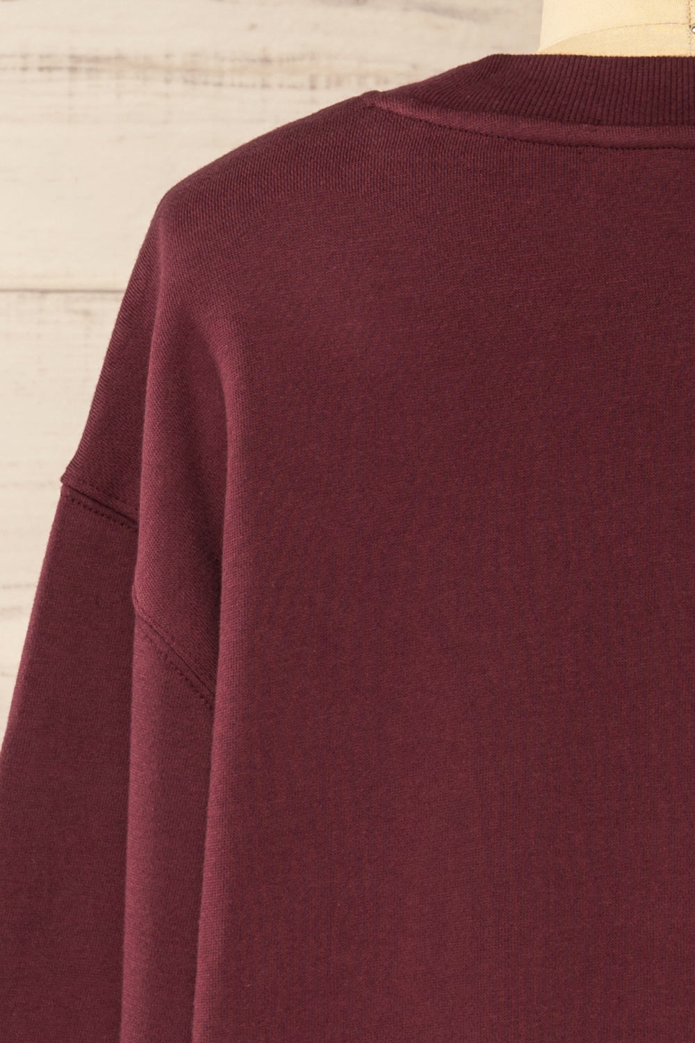 Nesna Oversized Burgundy Sweatshirt | La petite garçonne back