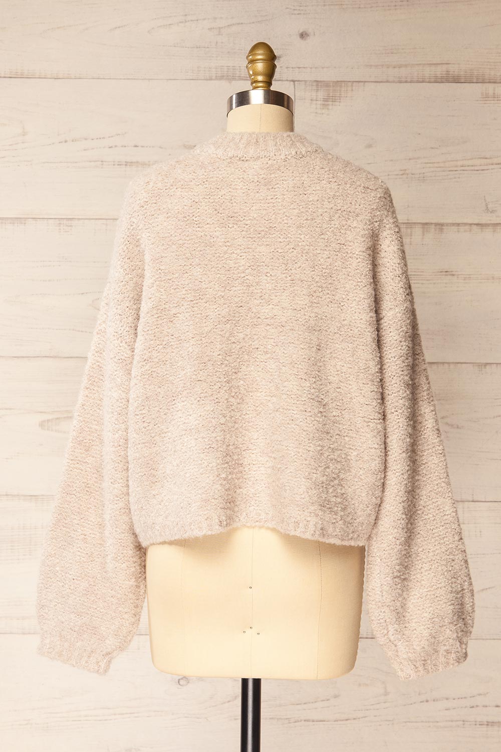 Panya Fluffy Beige Oversized Sweater | La petite garçonne back view
