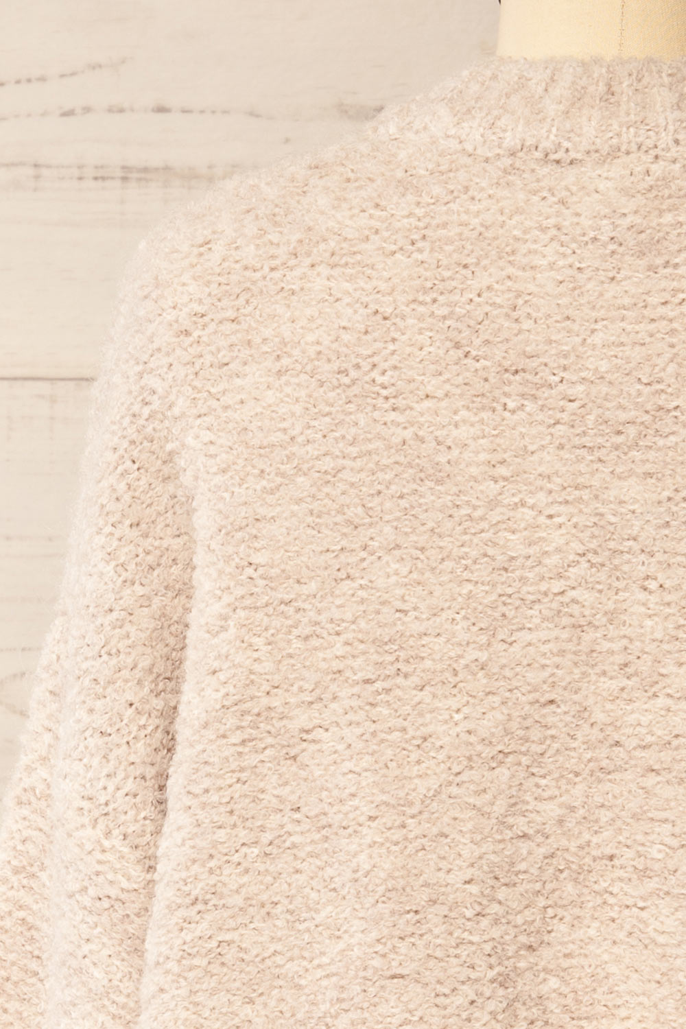 Panya Fluffy Beige Oversized Sweater | La petite garçonne back