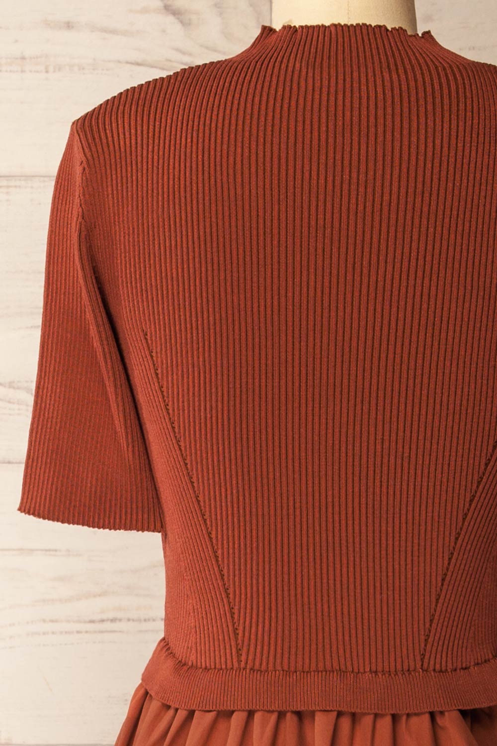 back of a mannequin wearing the Penrith Rust Mock Neck Midi Dress from boutique 1861