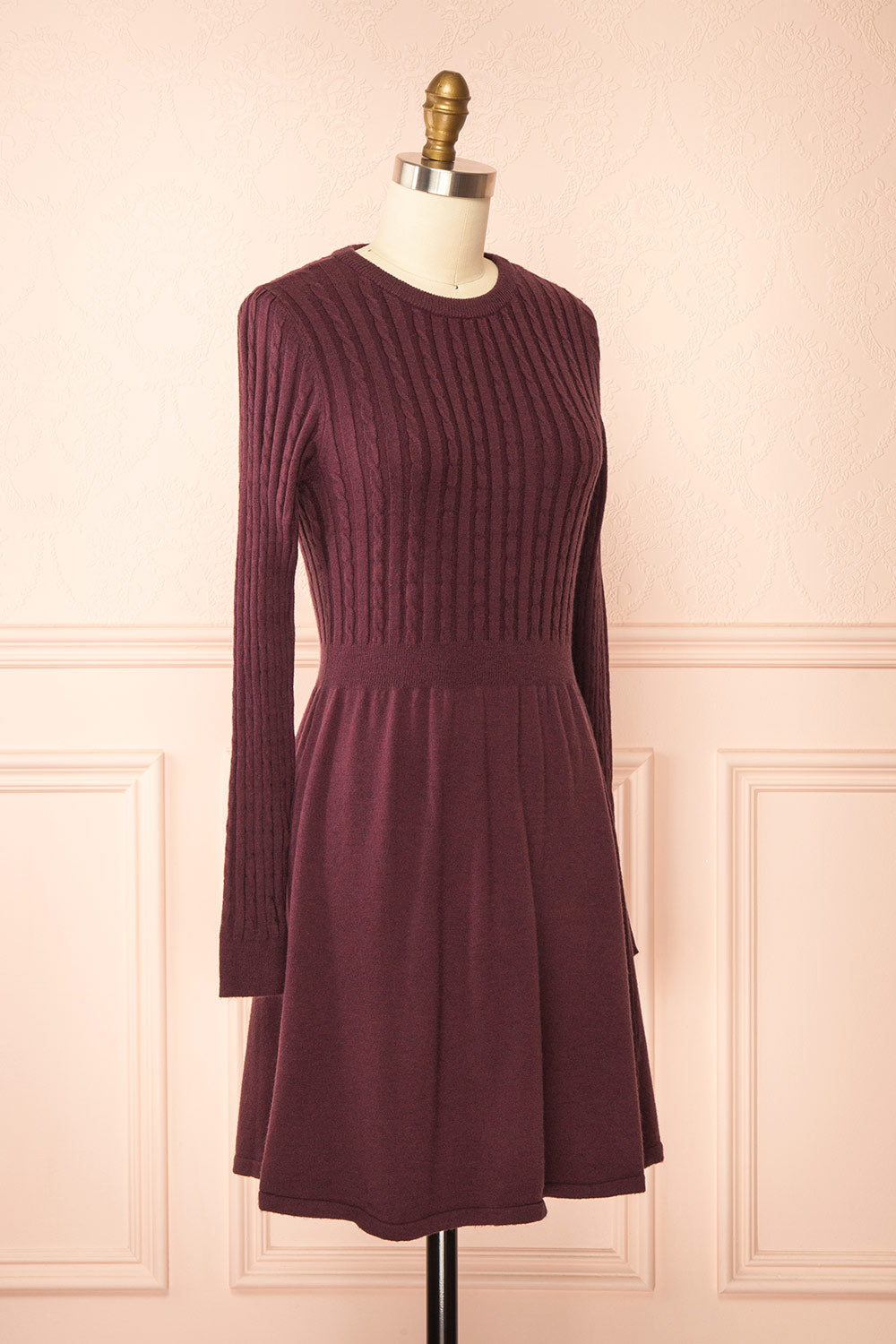 Pertina Burgundy Short Knit Dress with Long Sleeves | Boutique 1861 side view