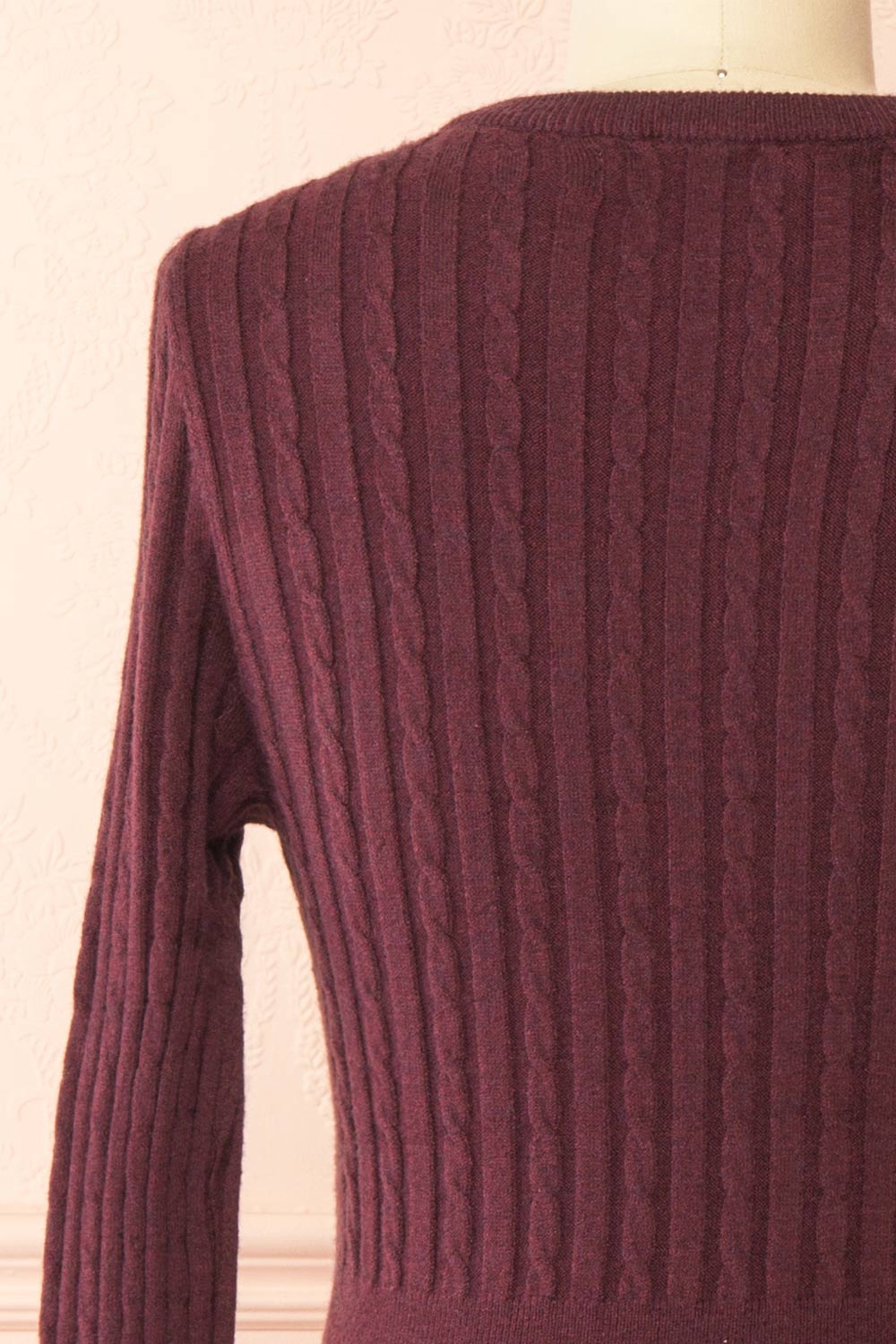 Pertina Burgundy Short Knit Dress with Long Sleeves | Boutique 1861 back