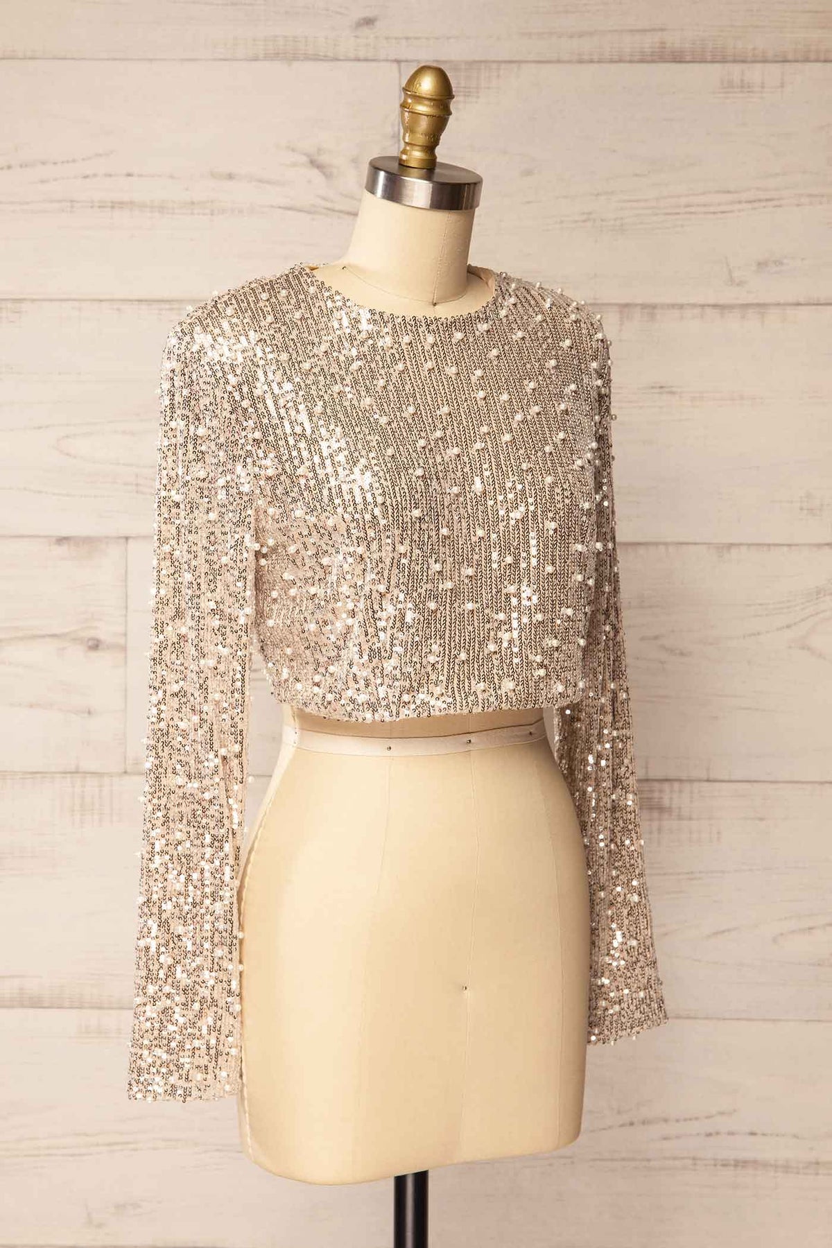 Side view of Pucallpa Champagne Sequin and Pearl Embellished Long Sleeve Crop Top at Boutique 1861