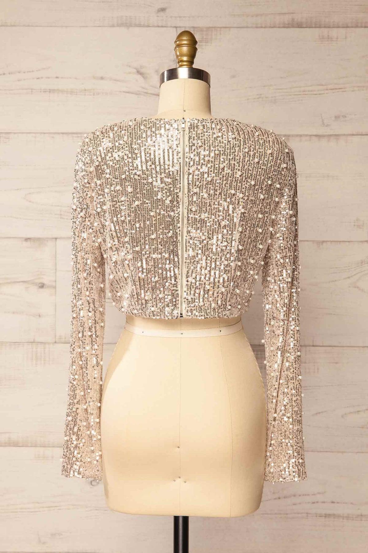 Back view of Pucallpa Champagne Sequin and Pearl Embellished Long Sleeve Crop Top at Boutique 1861