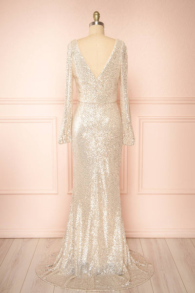 Roxy Champagne Sequins Long-Sleeved Maxi Dress | Boutique 1861  back view