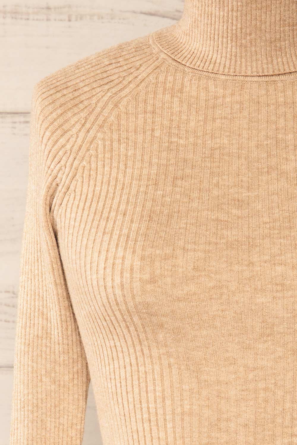 Rundu Beige Ribbed Turtleneck Fitted Top | La petite garçonne front close-up