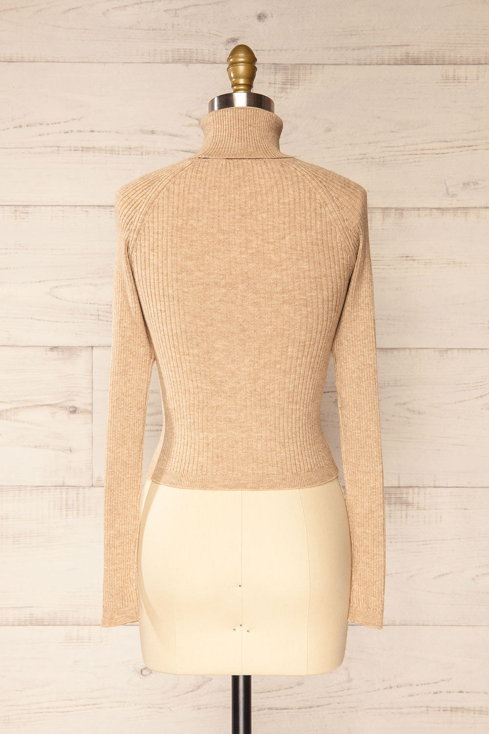 Rundu Beige Ribbed Turtleneck Fitted Top | La petite garçonne back view
