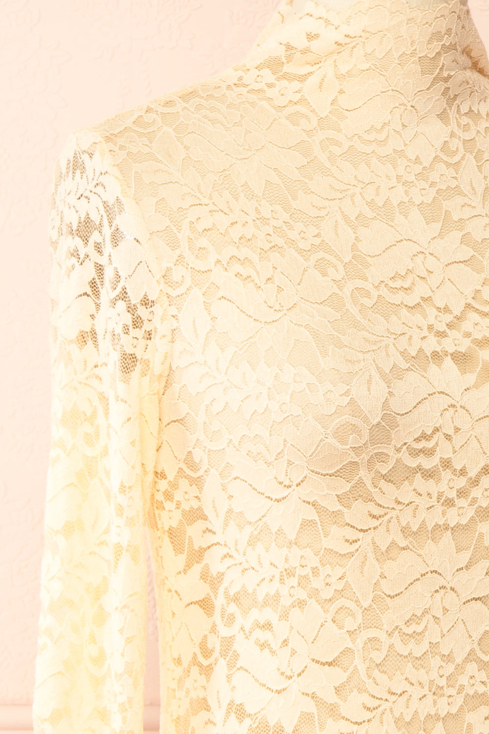 Sarida Beige Sheer Fitted Lace Top | Boutique 1861 side