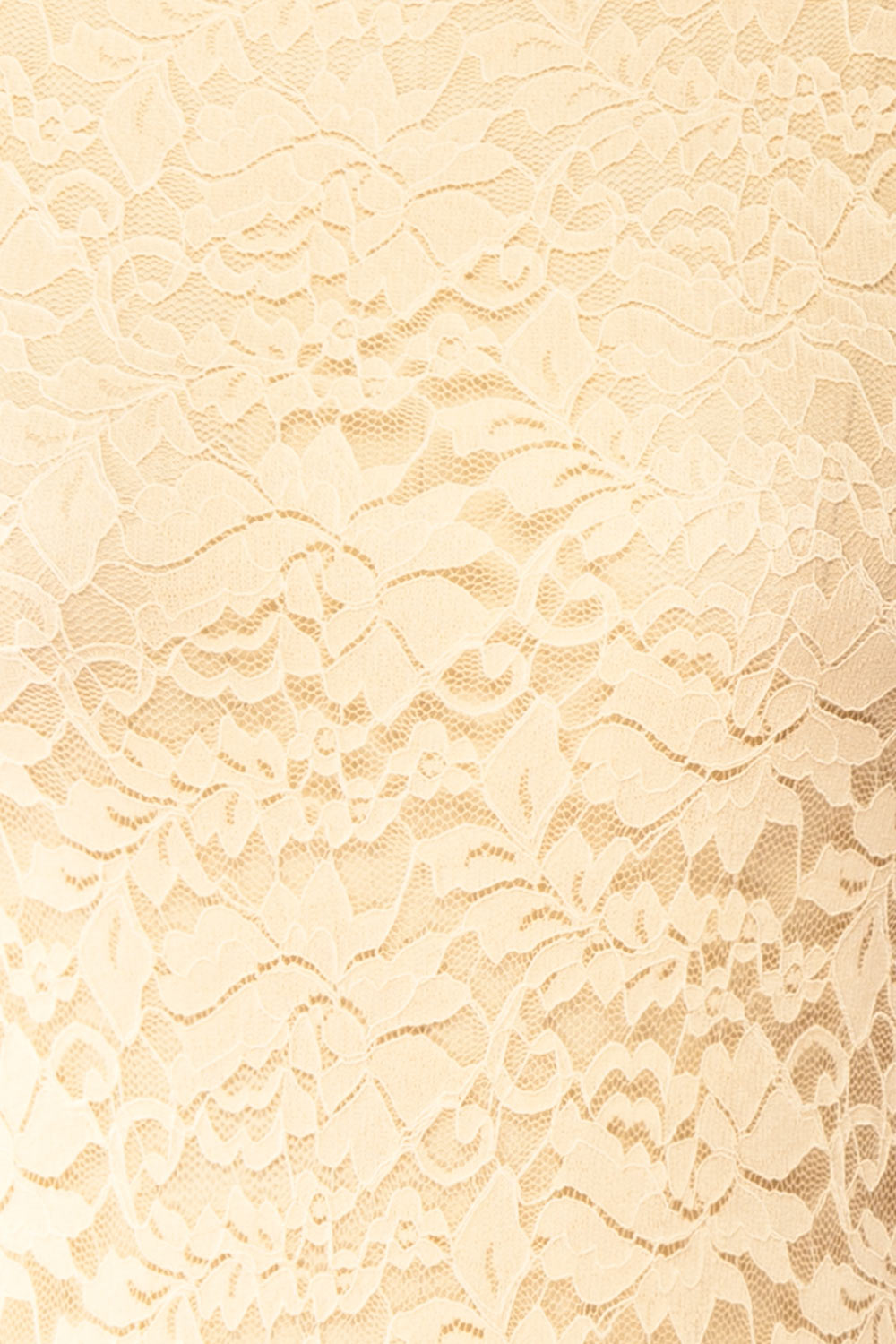 Sarida Beige Sheer Fitted Lace Top | Boutique 1861 fabric