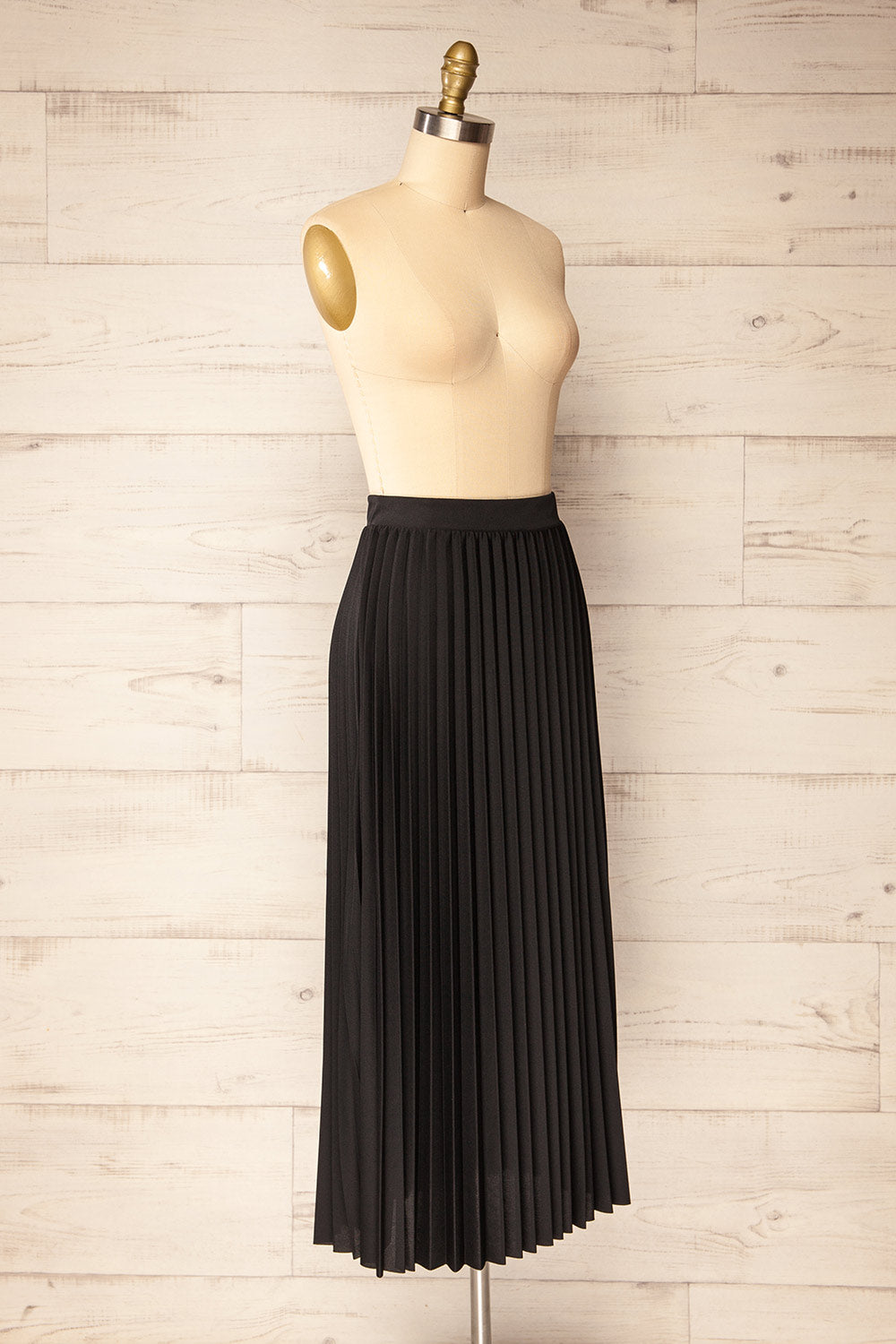 Vaduz Black Pleated Maxi Skirt | La petite garçonne side view