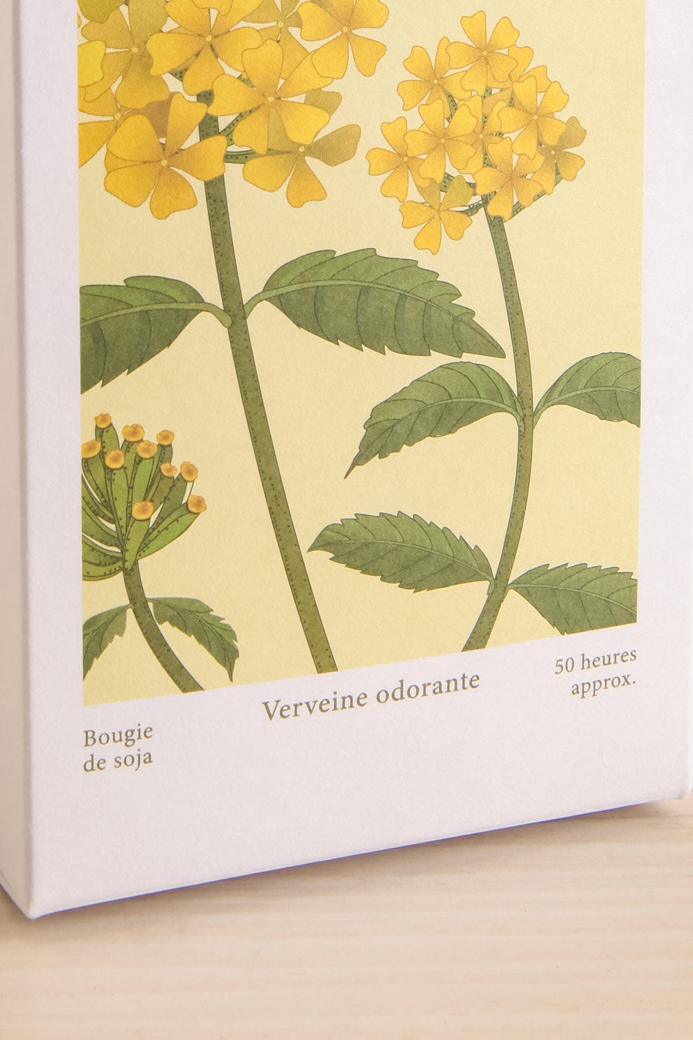 Odorant Verbena Candle by Theorie Botanique | Maison garçonne box close-up