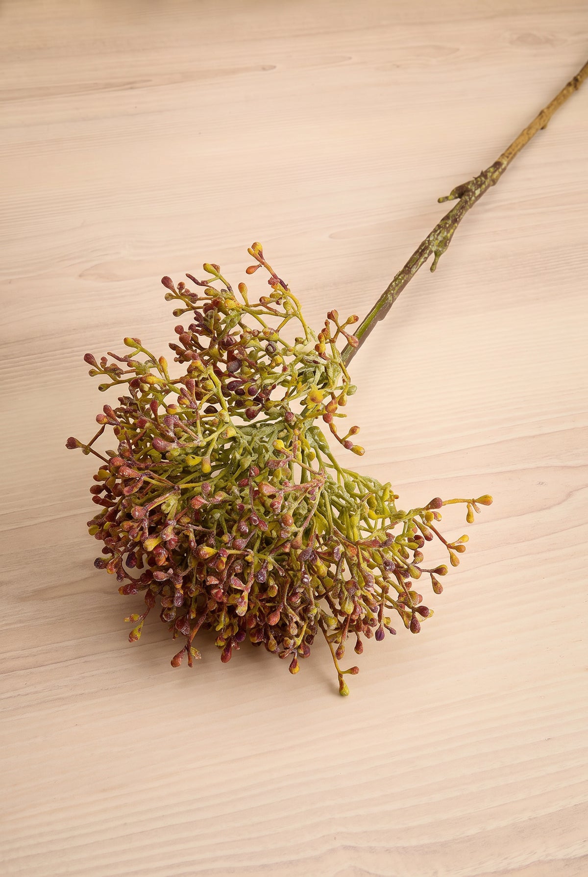 A close up on a single artificial viburnum berry stem, pink flower stem with a round cluster of small brown and muted green blossoms, placed vertically on a light wood grain surface at la maison garçonne in montreal.