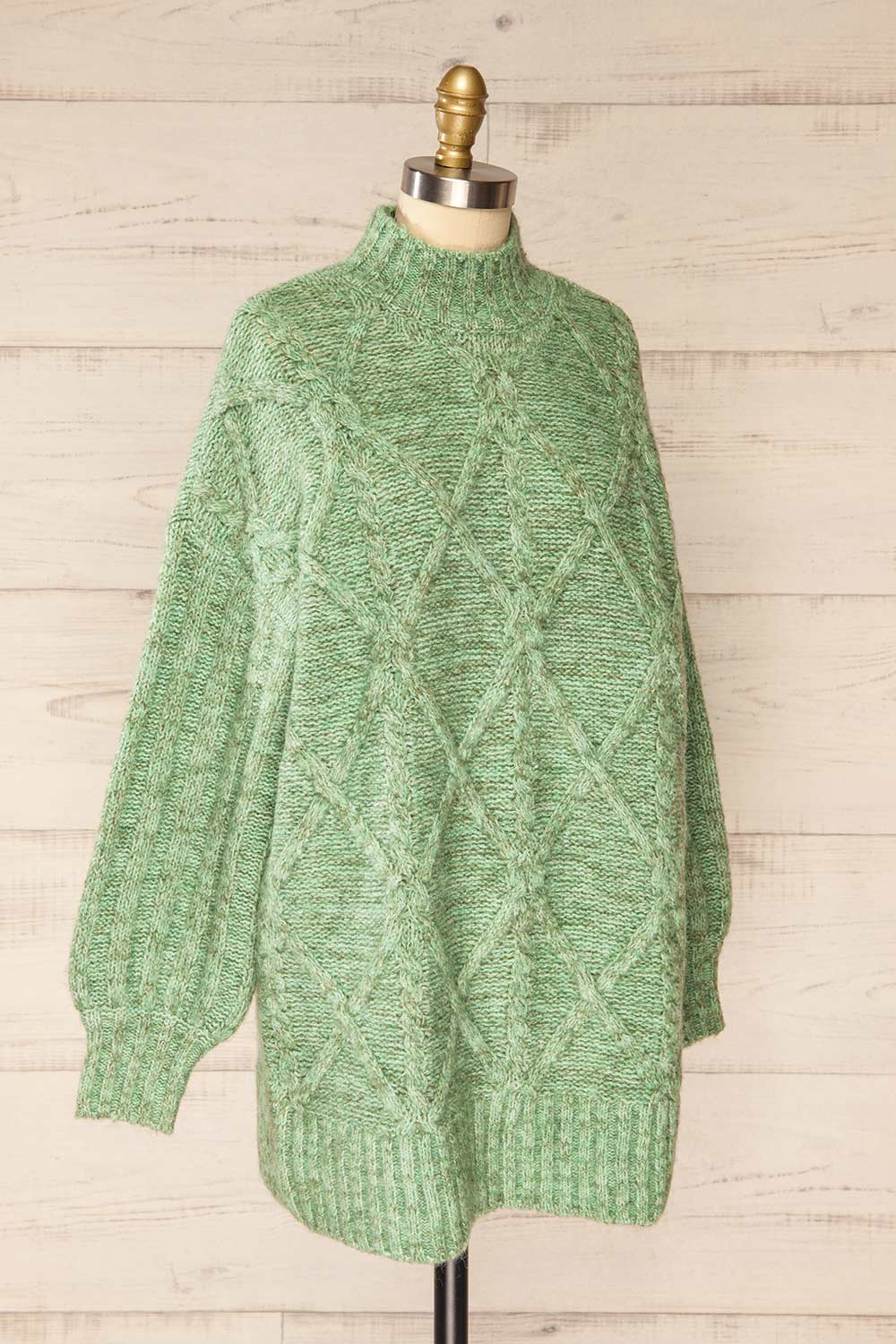 Wilfric Sage Oversized Thick Knit Sweater | La petite garçonne side view
