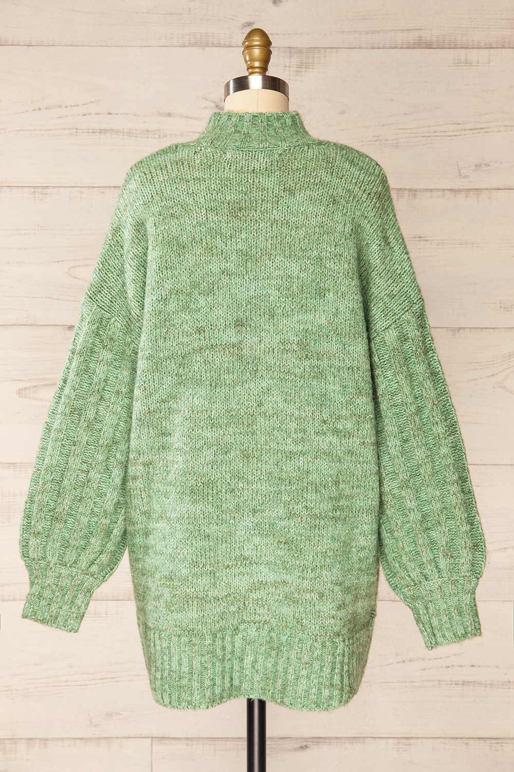 Wilfric Sage Oversized Thick Knit Sweater | La petite garçonne back view