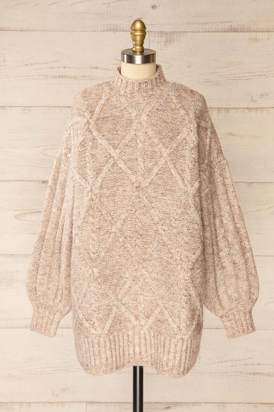 Wilfric Taupe Oversized Thick Knit Sweater | La petite garçonne front view