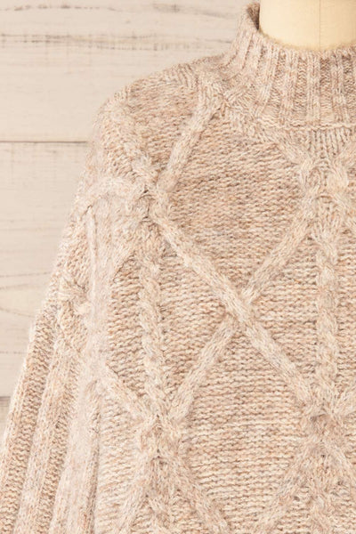 Wilfric Taupe Oversized Thick Knit Sweater | La petite garçonne front close-up