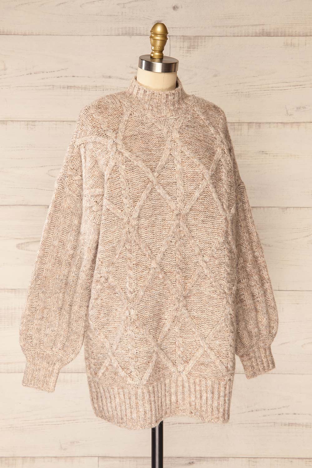 Wilfric Taupe Oversized Thick Knit Sweater | La petite garçonne side view