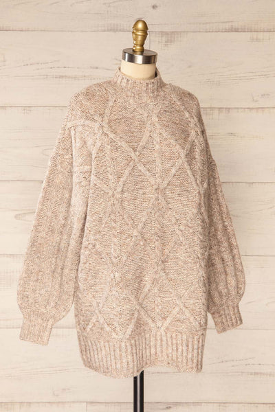Wilfric Taupe Oversized Thick Knit Sweater | La petite garçonne side view