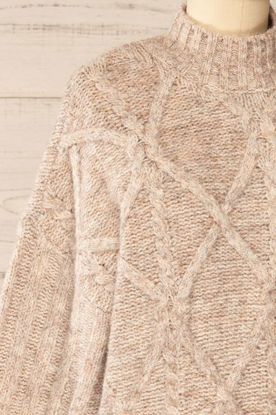 Wilfric Taupe Oversized Thick Knit Sweater | La petite garçonne side close-up
