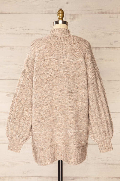 Wilfric Taupe Oversized Thick Knit Sweater | La petite garçonne back view