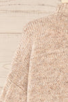 Wilfric Taupe Oversized Thick Knit Sweater | La petite garçonne back close-up