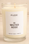 Wilted Rose Candle | Maison garçonne close-up