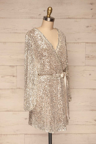 Adelfia Silver Sequin Dress | Robe | La Petite Garçonne side view