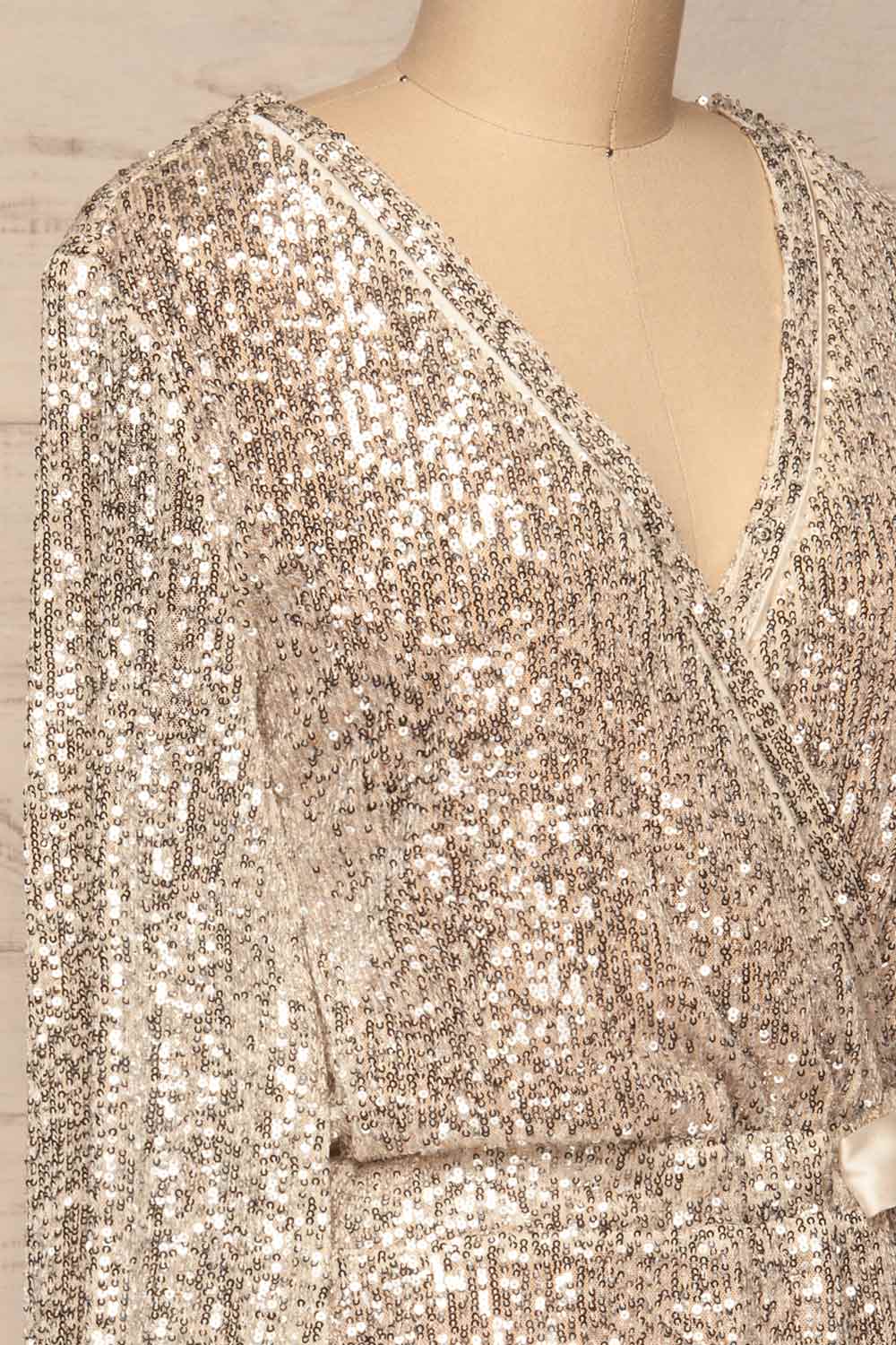 Adelfia Silver Sequin Dress | Robe | La Petite Garçonne side close-up