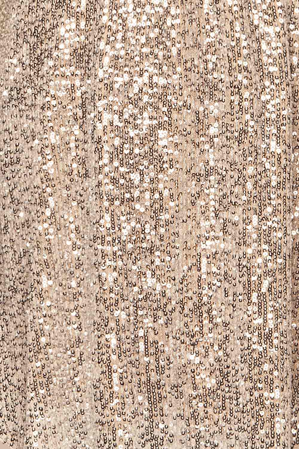 Adelfia Silver Sequin Dress | Robe | La Petite Garçonne fabric detail