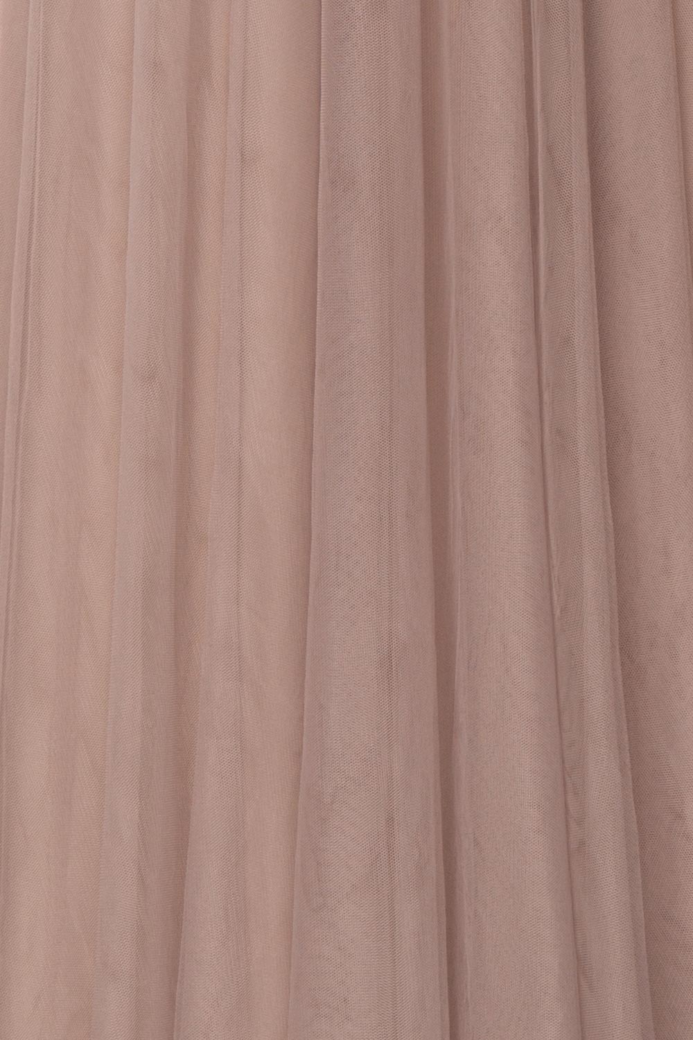 Adifa Sand Taupe Net Tulle Sleeveless A-Line Gown | Boudoir 1861 9