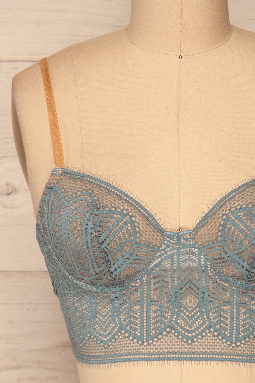 Brisy Blue & Beige Lace & Mesh Bra | La Petite Garçonne Chpt. 2 front close-up
