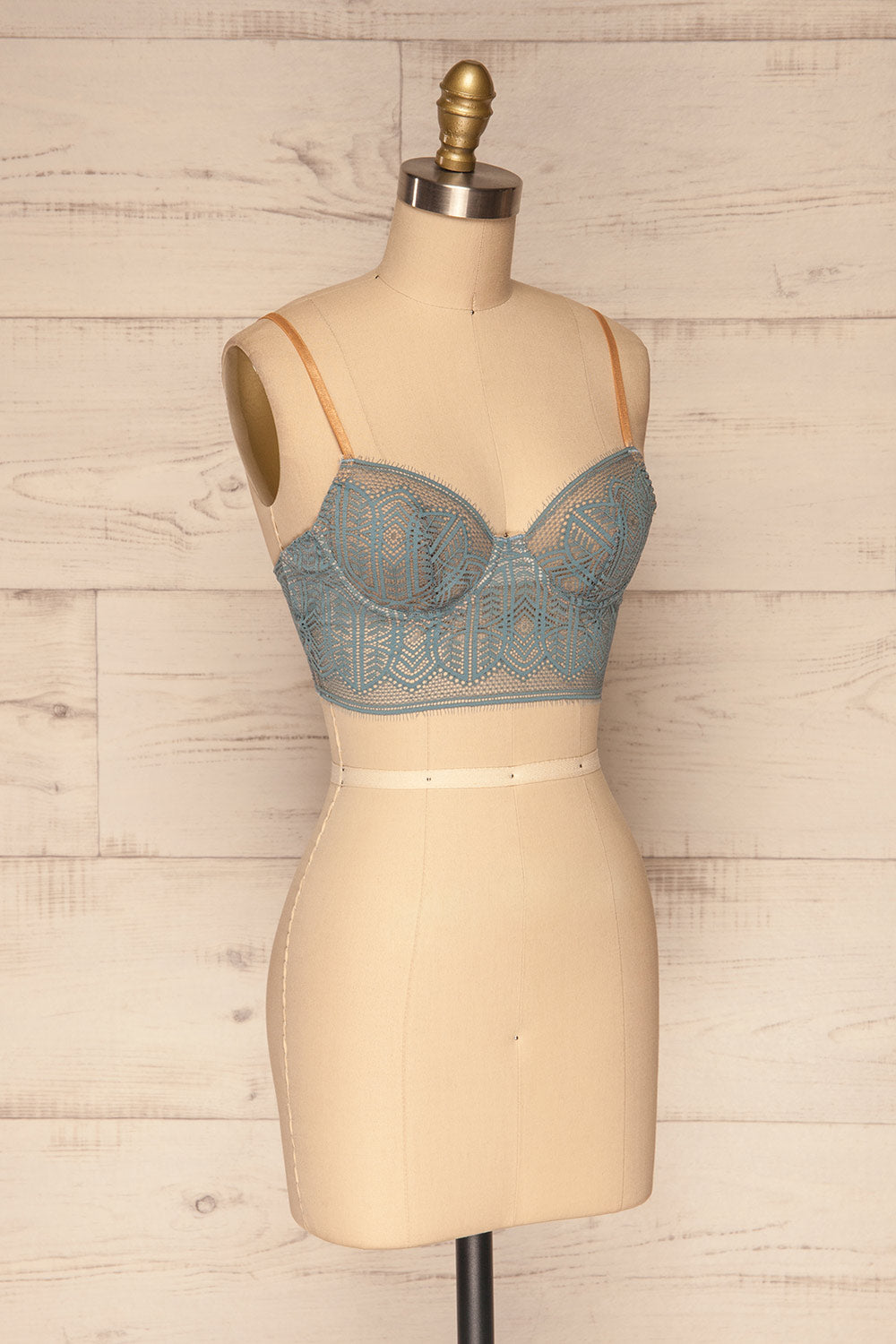 Brisy Blue & Beige Lace & Mesh Bra | La Petite Garçonne Chpt. 2 side view