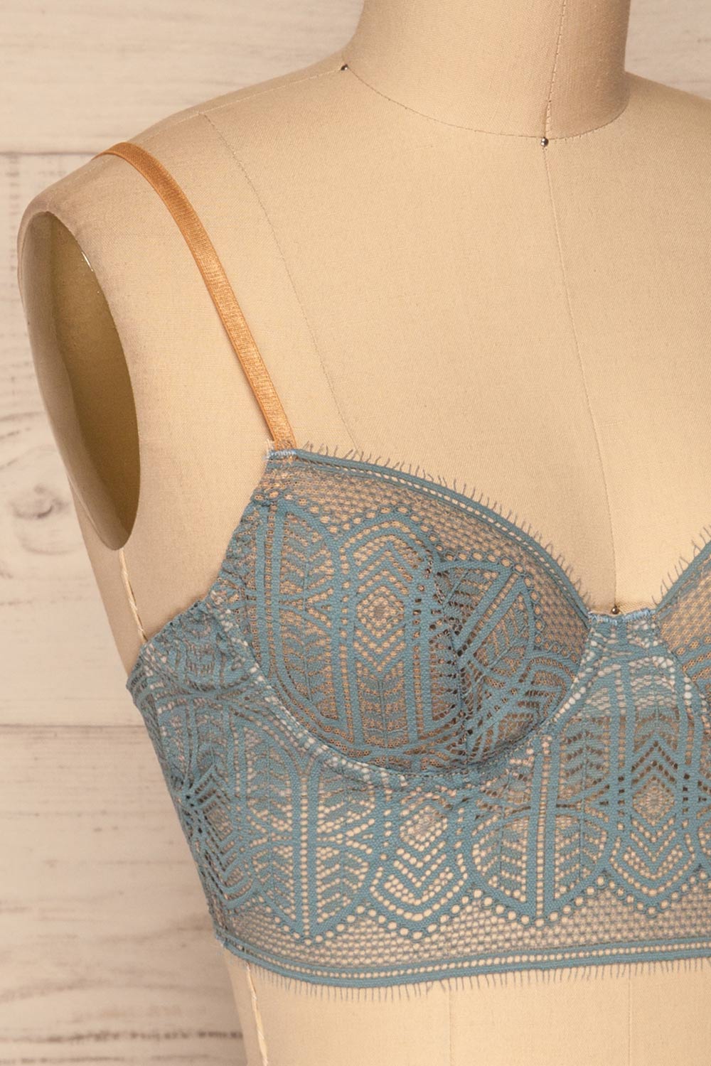 Brisy Blue & Beige Lace & Mesh Bra | La Petite Garçonne Chpt. 2 side close-up