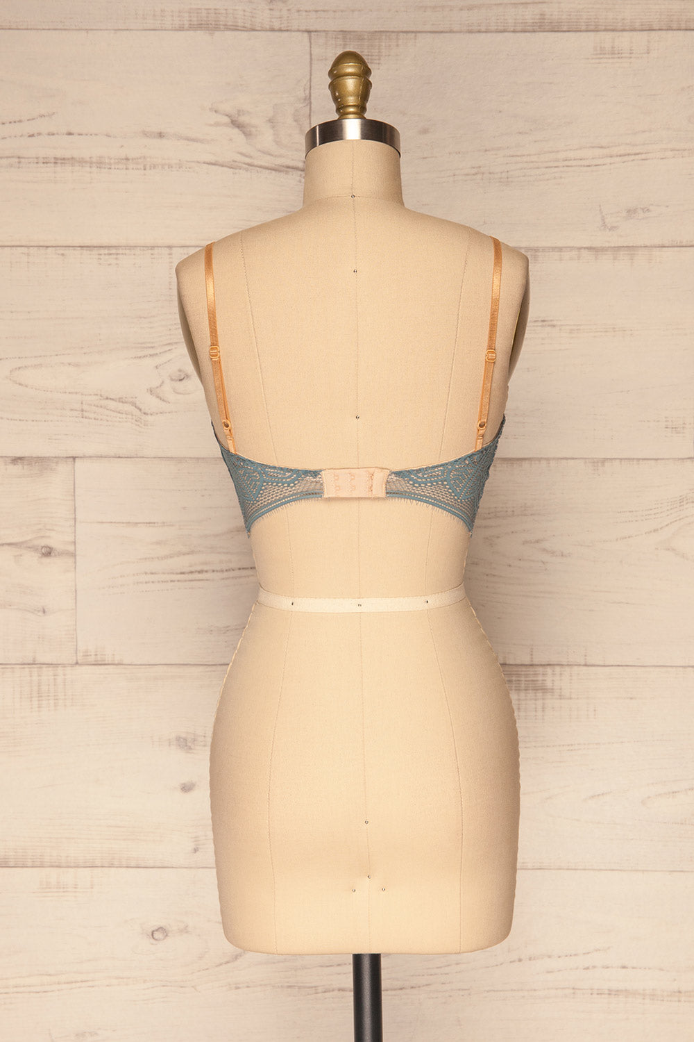 Brisy Blue & Beige Lace & Mesh Bra | La Petite Garçonne Chpt. 2 back view