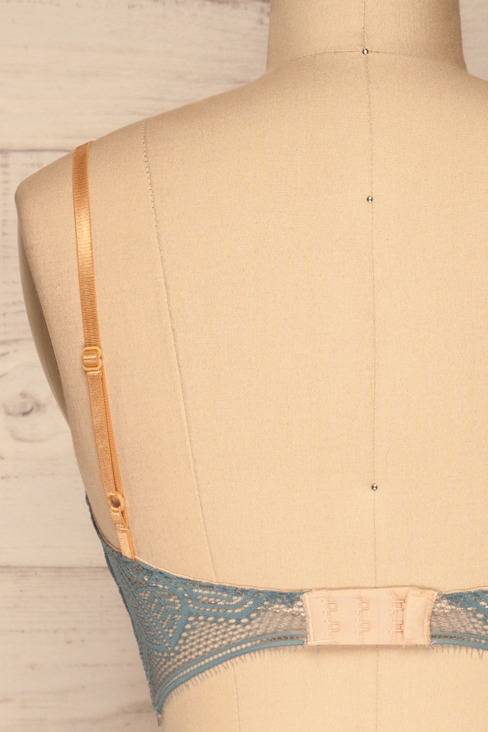 Brisy Blue & Beige Lace & Mesh Bra | La Petite Garçonne Chpt. 2 back close-up