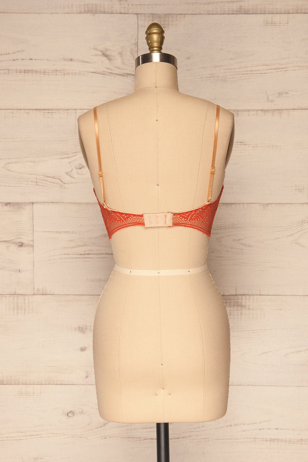 Brisy Orange & Beige Lace & Mesh Bra | La Petite Garçonne Chpt. 2 back view