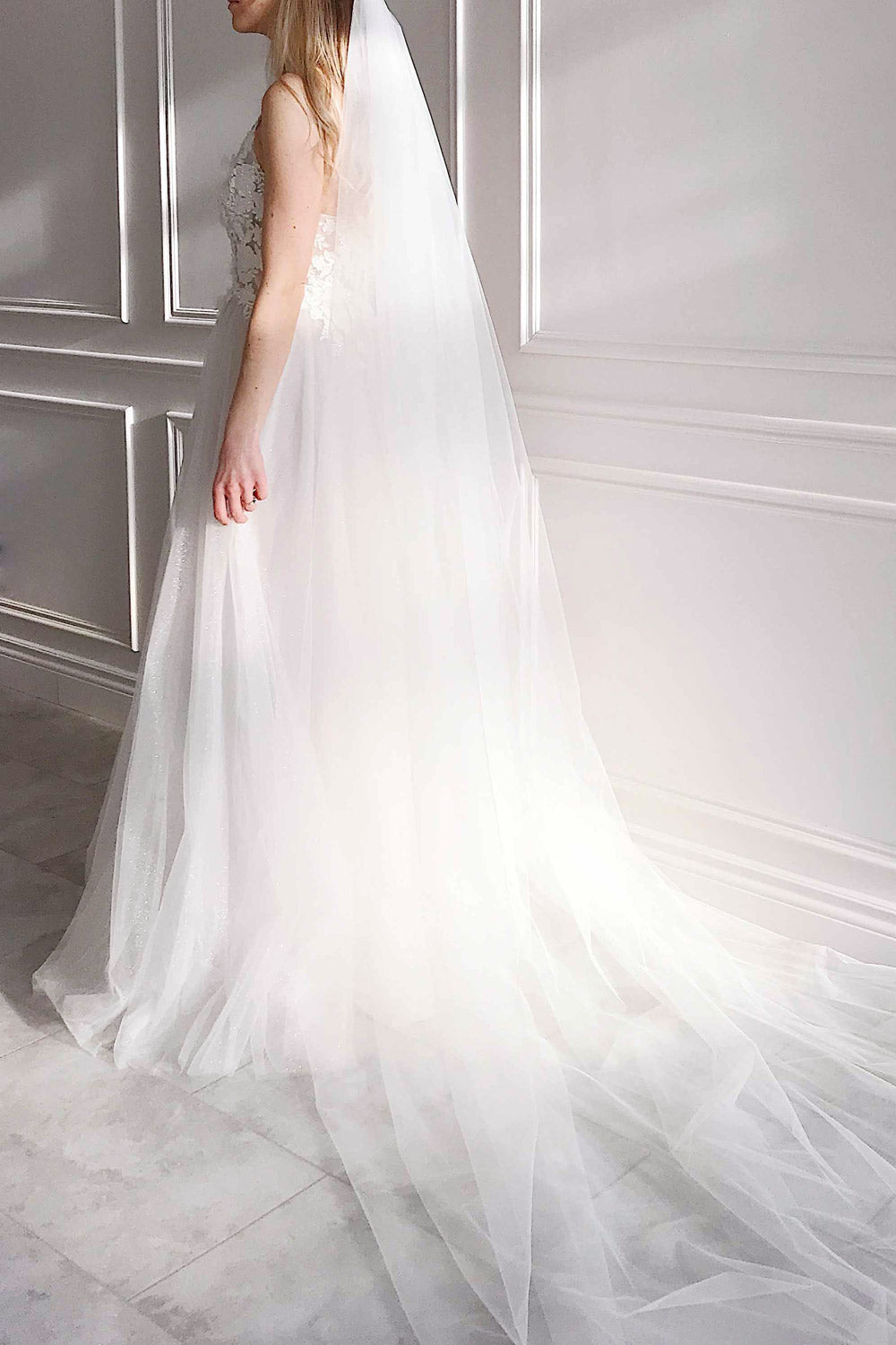 Cassandra Embroidered A-Line Bridal Dress | Boudoir 1861 model back