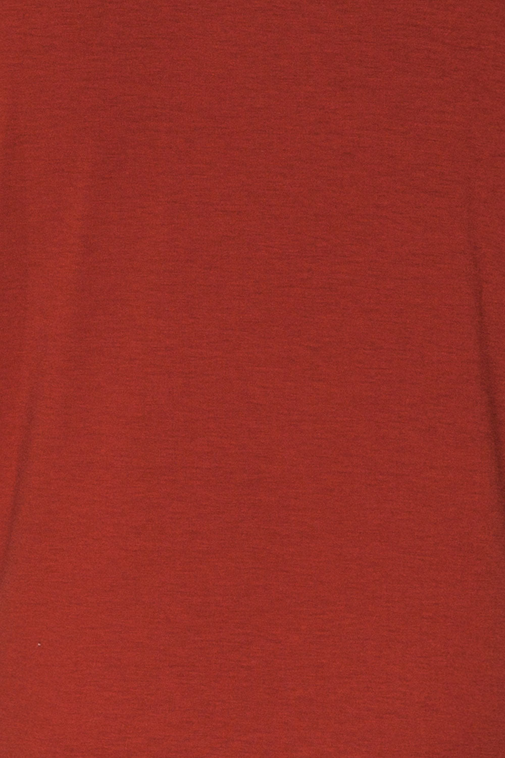 Delp Cognac Red Soft Cropped T-Shirt | La Petite Garçonne 8
