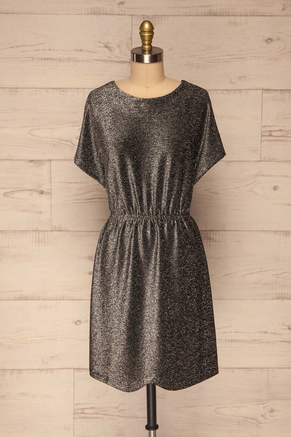 Dobele Silver Sparkling Short Sleeve Dress | La petite garçonne front view