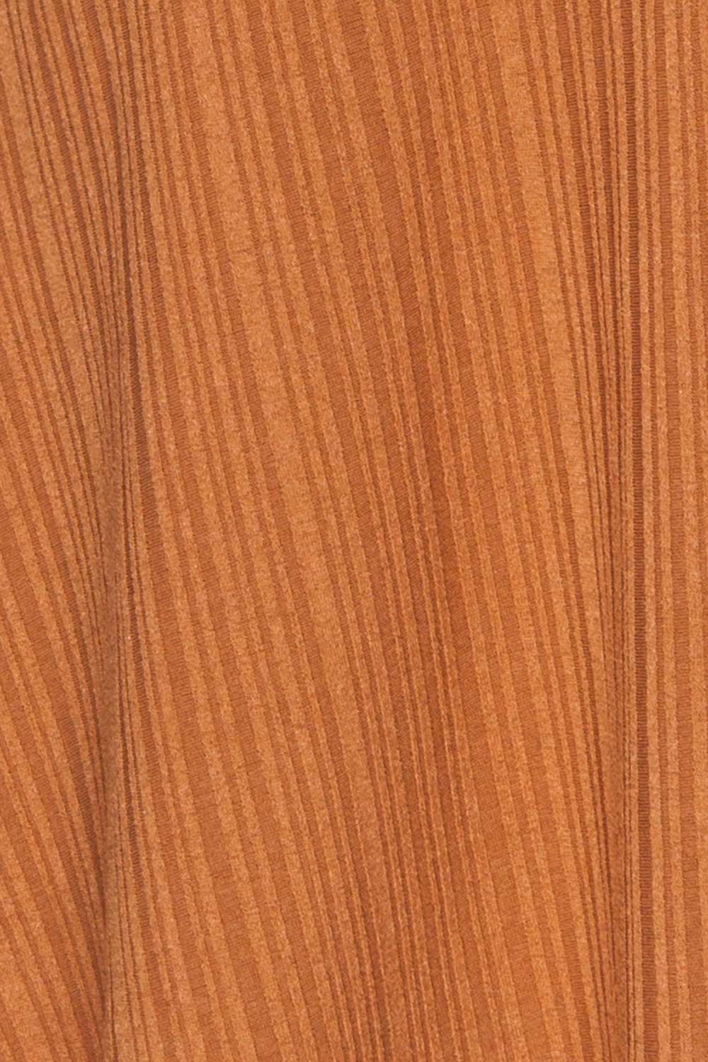 Eidsora Light Brown Short A-Line Dress | La petite garçonne fabric